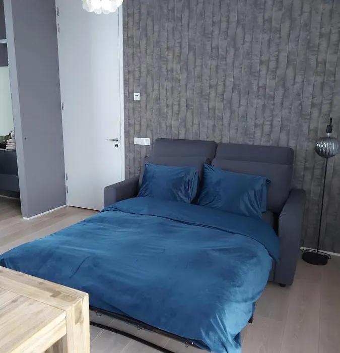 Bed&Wellness Boxtel, luxe kamer met airco en eigen badkamer-1