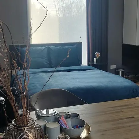 Bed&Wellness Boxtel, luxe kamer met airco en eigen badkamer-2